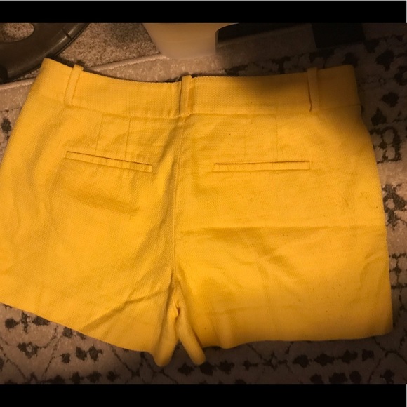 LOFT shorts - Picture 2 of 4